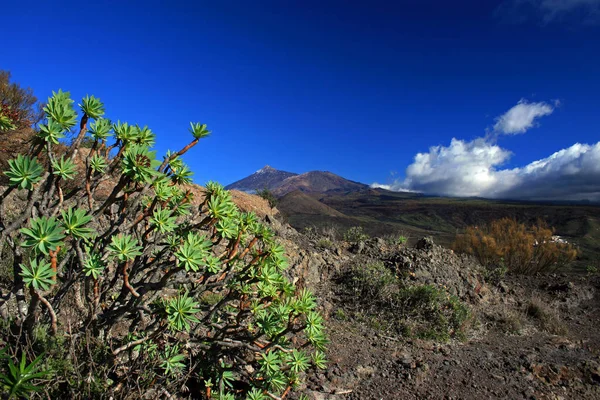 Monte Teide, Tenerife — Fotografia de Stock