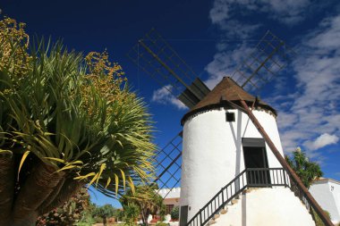 Antigua, fuerteventura, Kanarya Adaları, İspanya yel değirmeni
