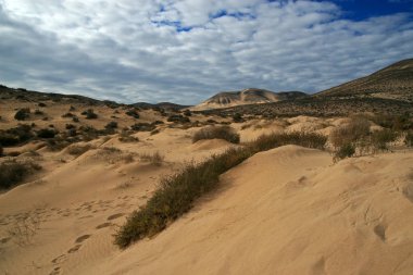 Playa Sotavento, Fuerteventura