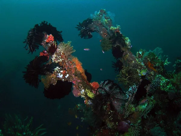 USS Liberty skeppsbrott, Tulamben beach, ön Bali, Indonesien — Stockfoto