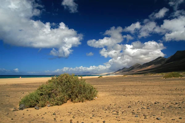 Playa de Cofete, Jandia, Fuerteventura, Ilhas Canárias, Espanha — Fotografia de Stock