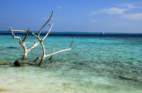 Playa de Maldivas, Ari Atol — Foto de Stock