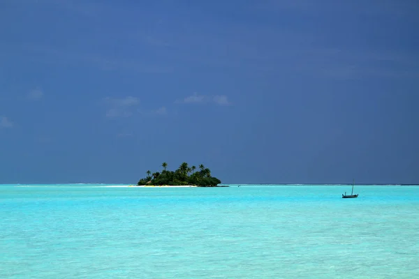 Isla Maldivas, Ari Atol — Foto de Stock