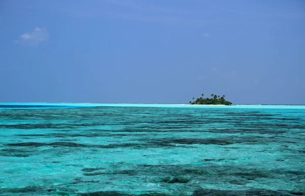 Isla Maldivas, Ari Atol — Foto de Stock