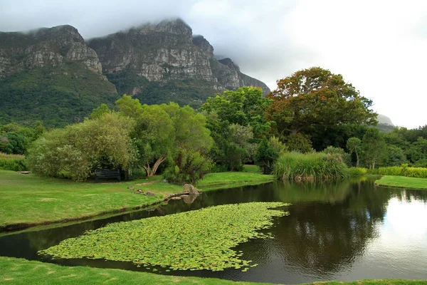 KIRSTENBOSCH Ulusal Botanik Bahçesi