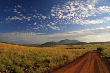Pilanesberg National Park, South Africa clipart