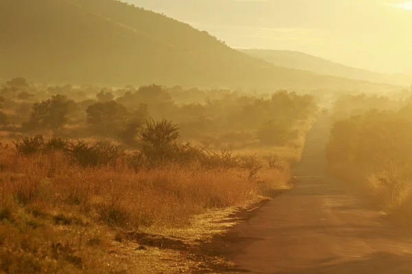 Pilanesberg Sunrise — Stok fotoğraf