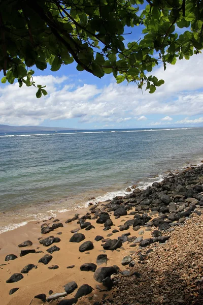Lahaina beach, Maui 