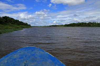 Orinoco River, Venezuela clipart