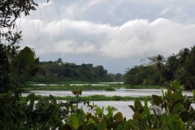 Orinoco Nehri, Venezuela