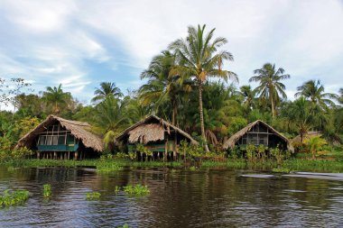 Orinoco Nehri, Venezuela