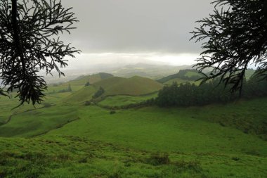 Picos Bölgesi, Sao Miguel Adası, Azores, Portekiz 