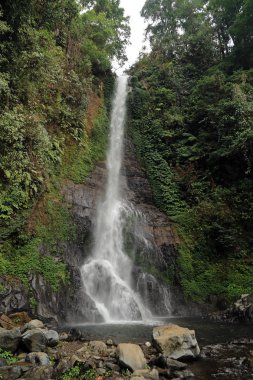 Gitgit Şelalesi, Gitgit Köyü, Bali, Endonezya 