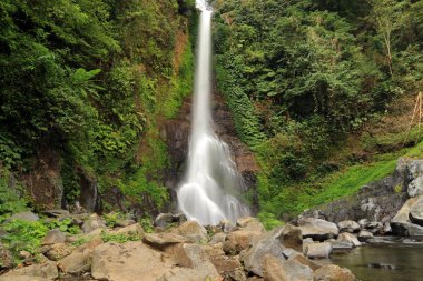 Gitgit Şelalesi, Gitgit Köyü, Bali, Endonezya 