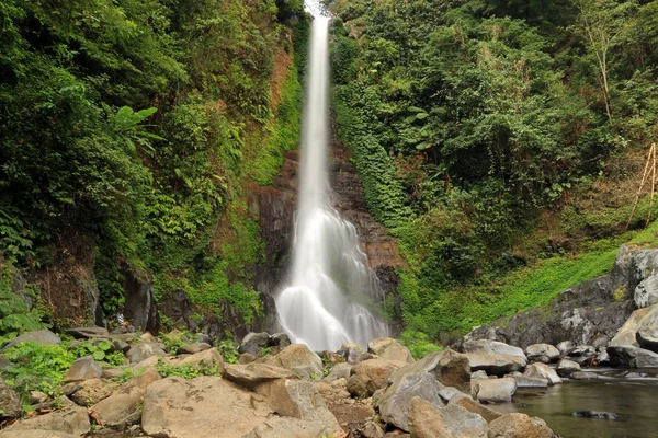 Gitgit Şelalesi, Gitgit Köyü, Bali, Endonezya 