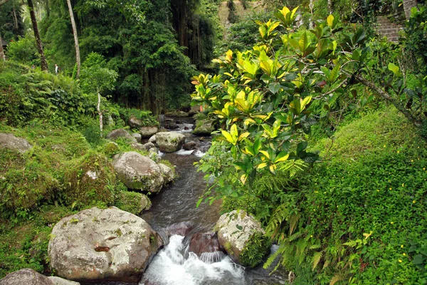 Királyi Sírok Gunung Kawi Templomban Temetkezési Komplexumban Tampaksiring Bali Indonézia — Stock Fotó