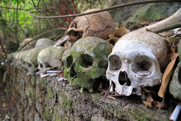 Cemetery Trunyan Village Lake Batur Bali Indonesia — Stock Photo, Image