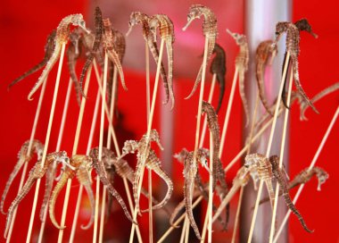 Deniz atları, Wangfujing çerezi sokağı, Pekin, Çin