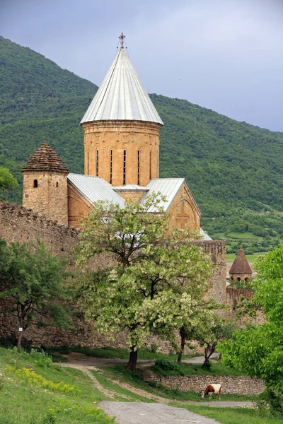 Ананури Средневековый Замок Реке Арагви Грузия — стоковое фото