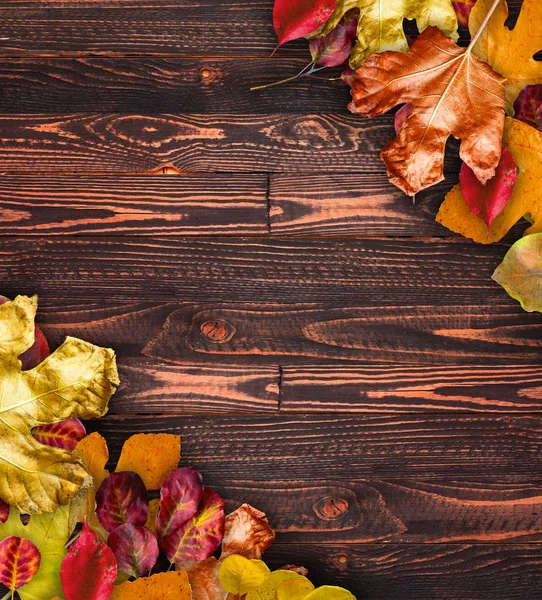 Feuilles d'automne sur fond en bois. — Photo