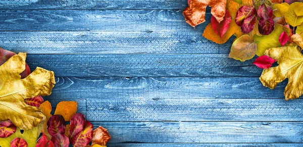 Autumn Leaves over  Wooden background. — Stock Photo, Image