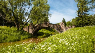 Pavlovsky park, Pavlovsk, Rusya Federasyonu