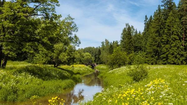 Parque Pavlovsky, Pavlovsk, Rusia — Foto de Stock