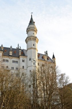 Ünlü Neuschwanstein Şatosu