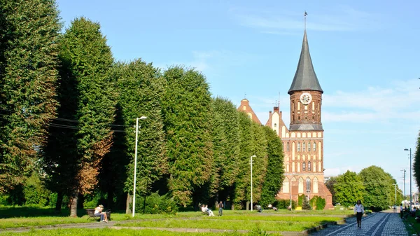 De kathedraal in Kaliningrad — Stockfoto