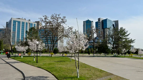 Tashkent Üzbegisztán Tashkent Üzbegisztán 2015 International Business Center — Stock Fotó