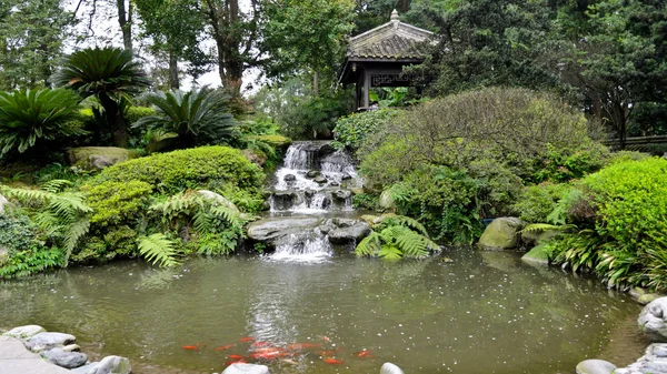 Dujiangyan Çin Haziran 2013 Dujiangyan Doğal Alan — Stok fotoğraf