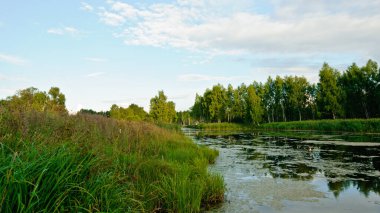 Korolev, Rusya - 17 Haziran 2010: Park 