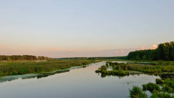 Korolev Rusia Agosto 2014 Construcción Autopista Yaroslavl — Foto de Stock