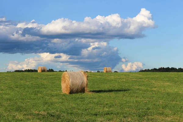 Strohballen auf einer grünen Wiese mit blauem Himmel und Wald — Stockfoto