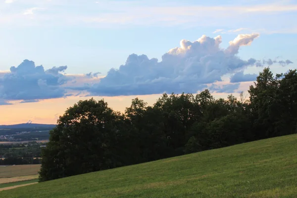 Prato verde con alberi e cielo. Paesaggio ceco . — Foto Stock