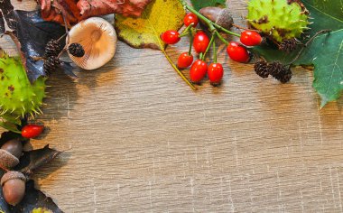 Sonbahar natürmort mantar, meşe palamudu, kestane, tahtaya geri bırakır