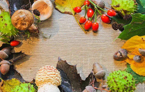 Sonbahar natürmort kestane, mantar, meşe palamudu, ahşap arka yapraklarda