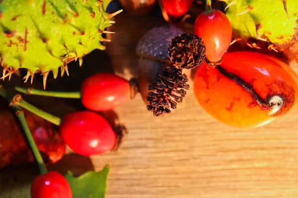 Sonbahar natürmort kedicik, kestane, mantar, ahşap üzerine taşlı