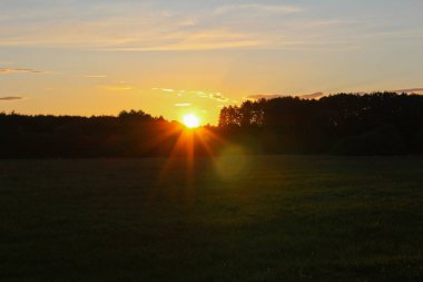 Günbatımı ağaçlar siluet ve güneş ışınları, Çek arazileri ile çayır üzerinde