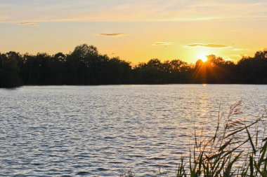 Günbatımı ağaçlar, silüeti gölet üzerinde duruldu Paz, Çek l