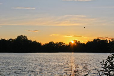 Günbatımı ağaçlar ve kuş, Çek landscap silueti gölet üzerinde