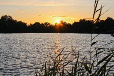 Günbatımı ağaçlar ve büyük çim önünde silüeti gölet üzerinde, 