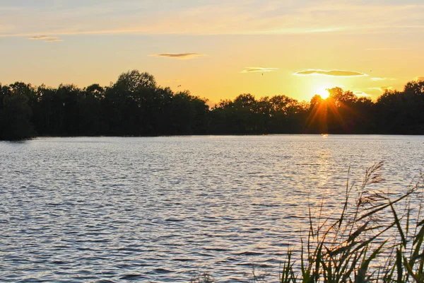 Günbatımı ağaçlar, silüeti gölet üzerinde duruldu Paz, Çek l