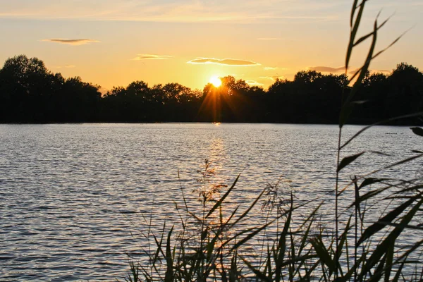 Günbatımı ağaçlar ve büyük çim önünde silüeti gölet üzerinde, 
