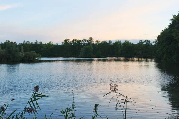 Günbatımı ağaçlar siluet büyük çim önde, Çek l gölet üzerinde
