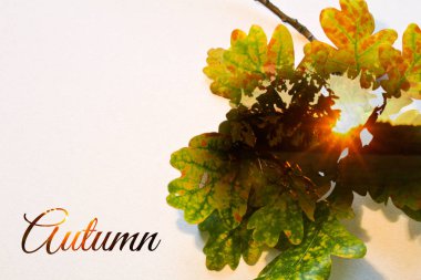 Renkli yaprakları ve günbatımı metin ile sonbahar çift pozlama