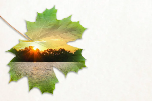 Herbst Doppelbelichtung im Blatt und Sonnenuntergang auf Teich — Stockfoto