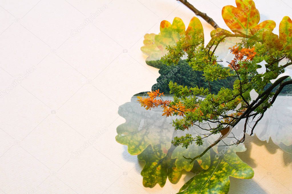 Fall double exposure in colorful leaves and tree trunk and pond