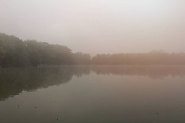 Gölet baraj turuncu ışık, Çek landscap ile sisli sis ağaçta