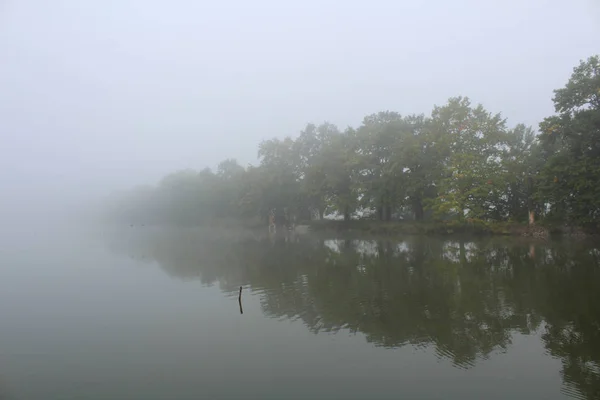 Árvores na barragem da lagoa perdidas no nevoeiro nebuloso, paisagem checa — Fotografia de Stock